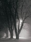 Foggy Winter Night_33254,59-64B